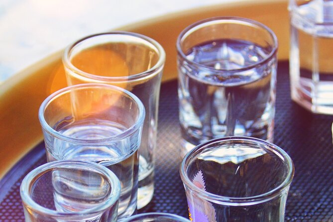 Krakow: Walking Tour With Vodka Testing - Good To Know