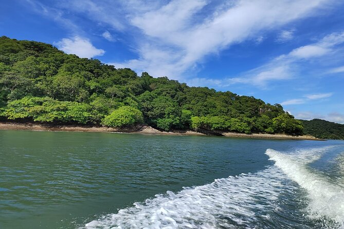 La Cruz Mangrove, Sloths, and City Tour - Playa Hermosa
