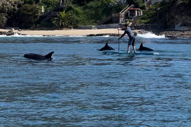 Laguna Beach Stand Up Paddle Activity - Activity Overview