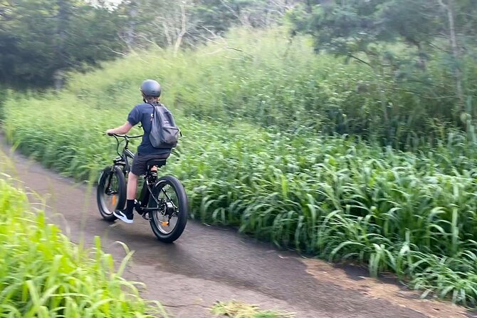 Lahaina to Kapalua Maui Explorer Electric Bike Rental