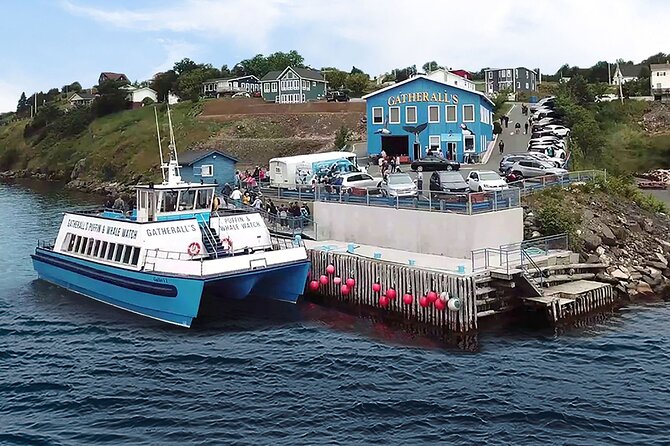 Late Season Puffin & Scenic Coastal Cruise - Alcoholic Beverages