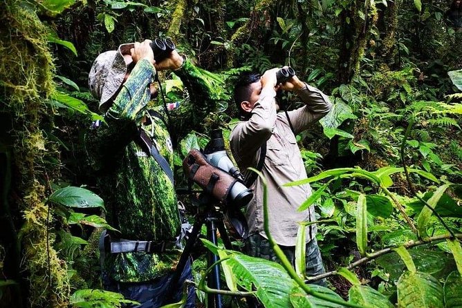 Local Birdwatching Tours With Mauro