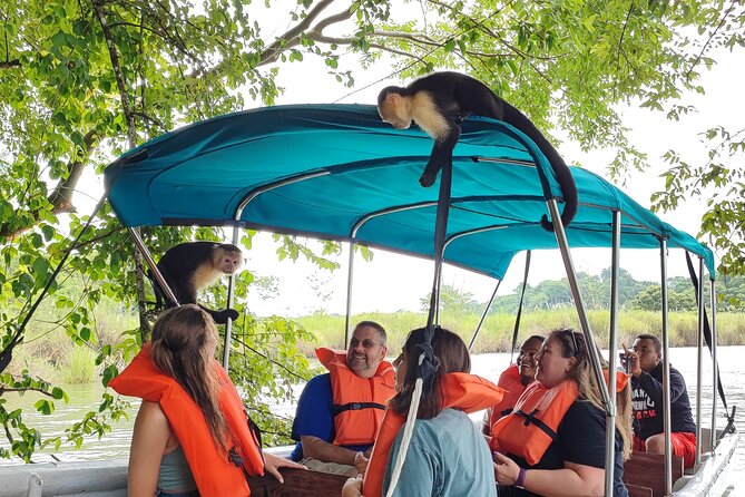 Luxurious Eco Cruise Explores Canal Islands - Eco-Friendly Cruise Ship Features