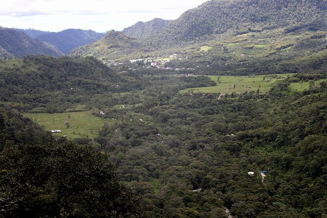 Luxury Shuttle Service From Mindo to Quito - Pricing Details