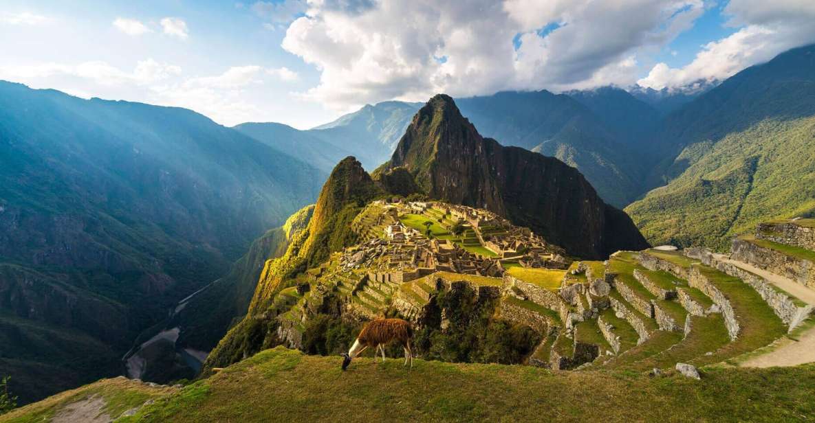 Machu Picchu 1 Day Adventure Lunch - Tour Highlights
