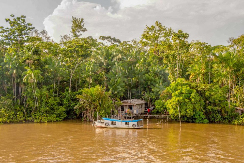 Manaus: 2, 3 or 4-Day Amazon Jungle Tour in Anaconda Lodge - Itinerary