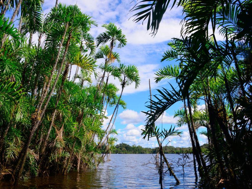 Manaus: Guided Amazon Dolphins Day Trip With Boat and Pickup - Activity Details