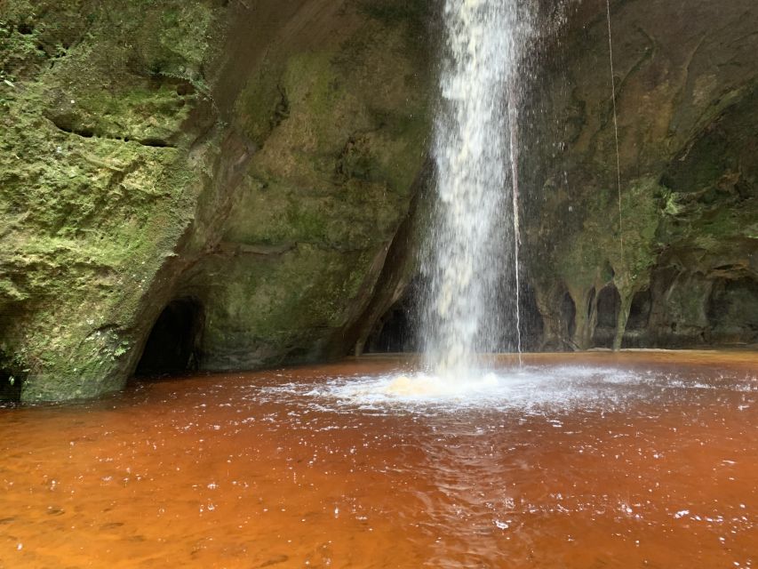 Manaus: Presidente Figueiredo Caves and Waterfalls Tour - Tour Overview
