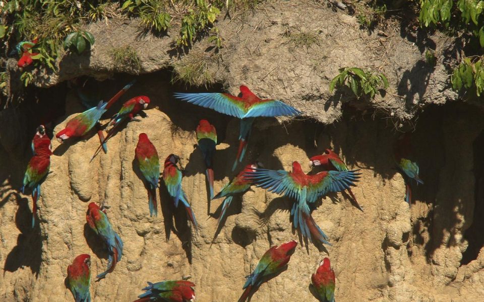 Manu National Park 4D/3N Ecotourism and Adventure - Day 1 Itinerary