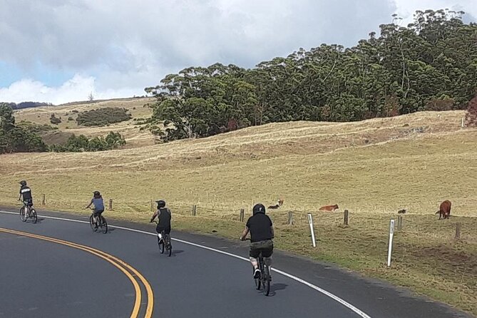 Maui Haleakala Half-Day Self-Guided Bike Tour (Mar ) - Tour Highlights