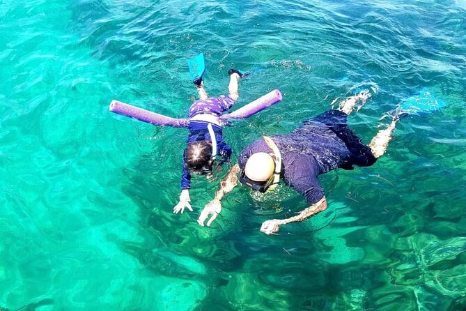 Miami: Island Snorkeling on Biscayne Bay on Deserted Island - Snorkeling Gear and Safety Briefing