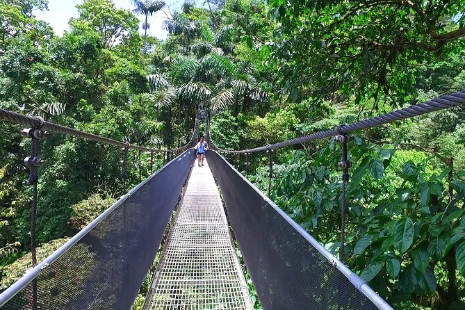 Mistico Hanging Bridges Admission Ticket - Good To Know