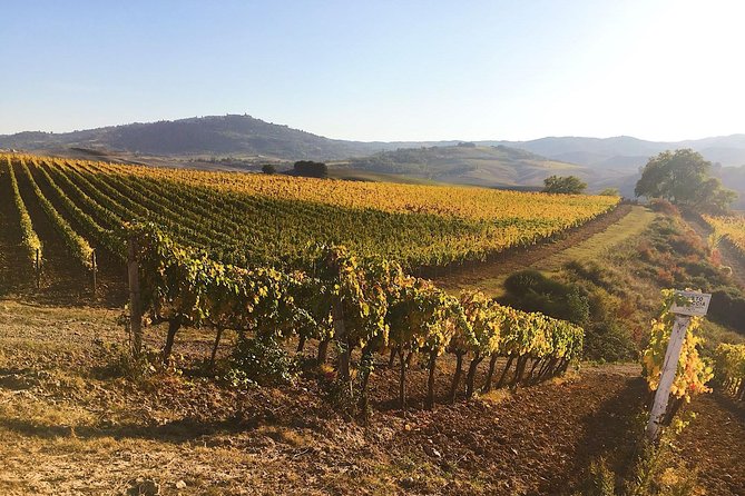 Montalcino Wine Tour - The Sum Up