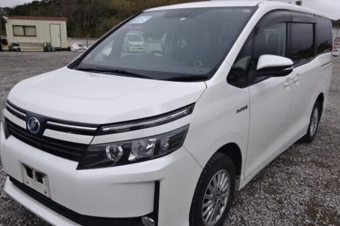 Montego Bay Airport Transfer - Service Features