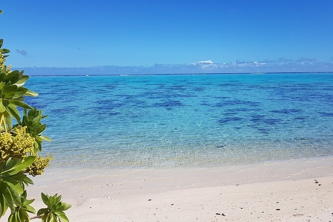 Moorea Highlights Private Tour: Natural and Cultural Attraction - Adventure Activities