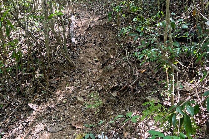 Mount Healthy National Park Private Hike Tour in Tortola - End Point and Cancellation Policy