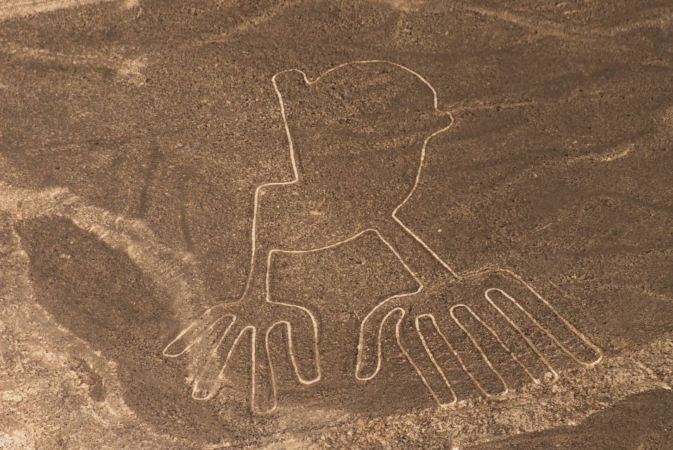 Nasca Lines Overflight With Lunch From Lima - Tour Details