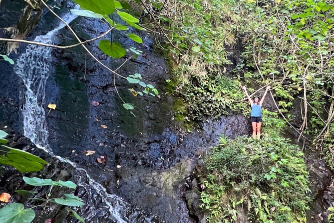 Nature Hike to Waterfall - Ratings and Reviews From Travelers