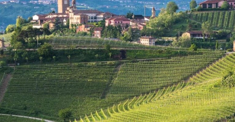 Neive: Cycling Tour From Neive to Barbaresco