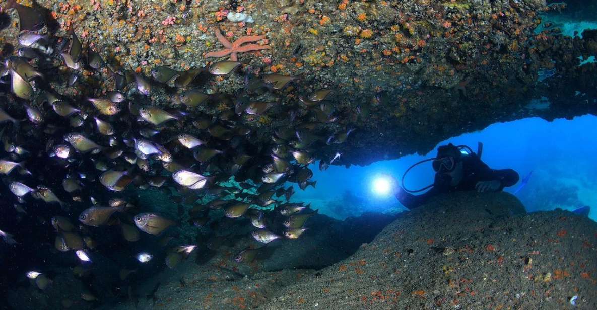 Nha Trang: Professional Scuba Diving for Certified Divers