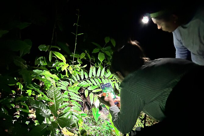 Night Hiking Tour at the Gandoca Manzanillo Mixed Refuge - Good To Know