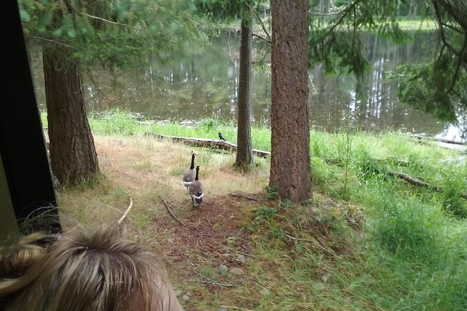 NW Trek – See Wild Animals in Natural Habitat