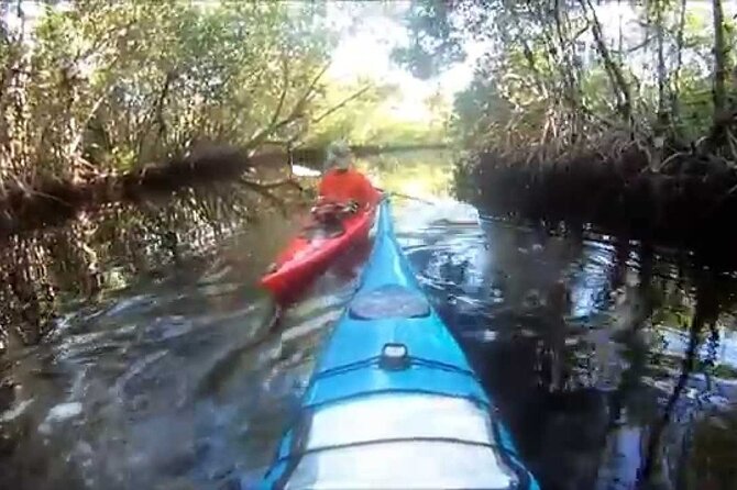 Official 10000 Islands Kayak & Canoe Rentals - Pricing and Booking Details