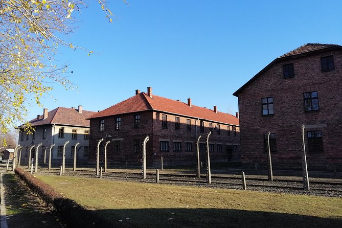One Day Tour to Auschwitz-Birkenau From Warsaw With Private Transport - Historical Insights
