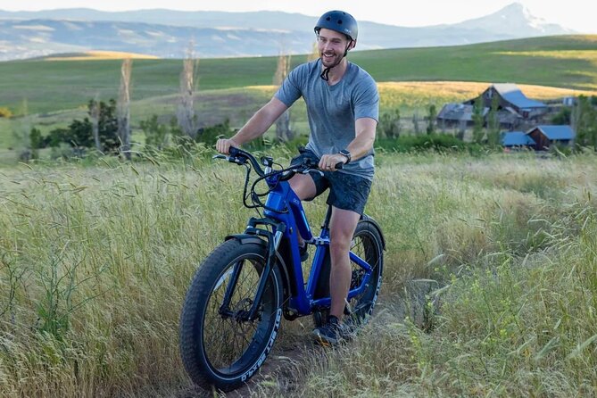 Origamitours Waikiki to Kakaako & Historic Honolulu - Fat Tire E-Bike Tour - Itinerary Overview