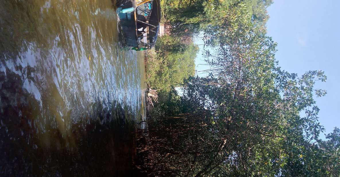 Pantanal of Rio De Janeiro - Activity Details