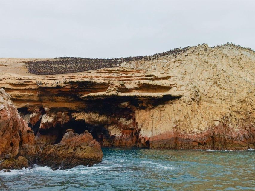 Paracas: Ballestas Islands & Paracas National Reserve - Activity Details