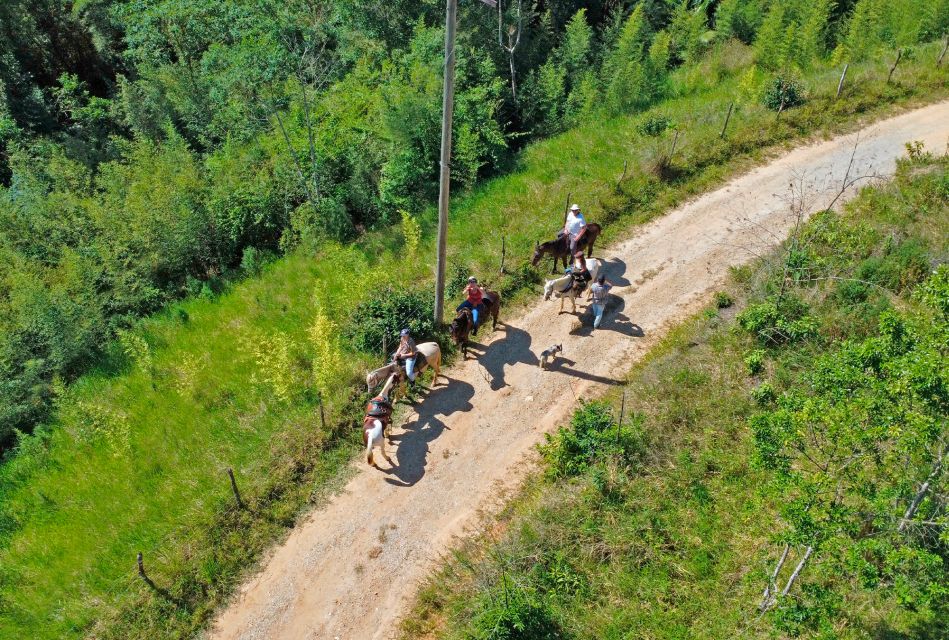 Paraty: 3-Hour Rainforest Horseback Ride - Booking Details
