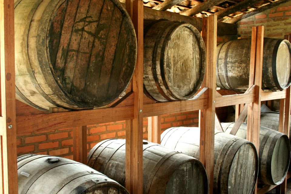 Paraty: Jeep Tour Waterfalls With Cachaça Tasting - Activity Details