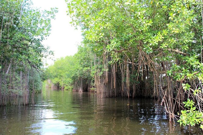 Pelican Bar and Black River Safari Combine Tour From Montego Bay - Tour Highlights