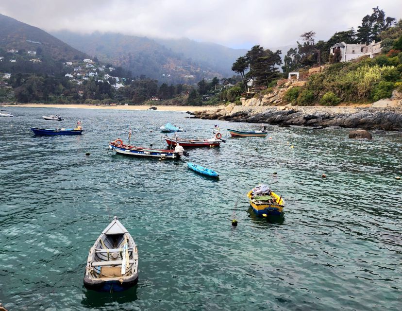 Penguins Watching Cachagua Island - Zapallar From Valparaiso - Location Information