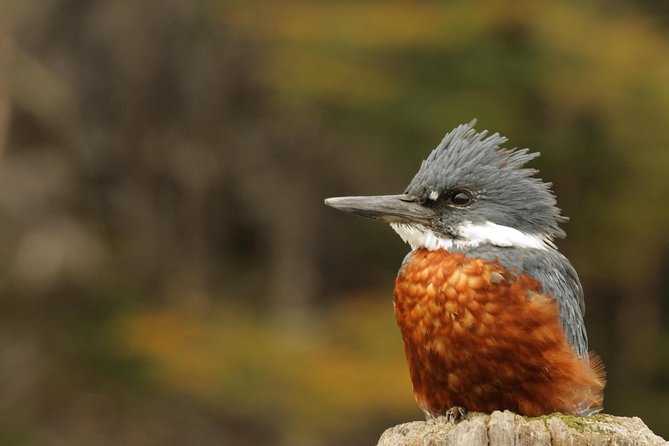 Photography & Birdwatching Tour - Itinerary Highlights