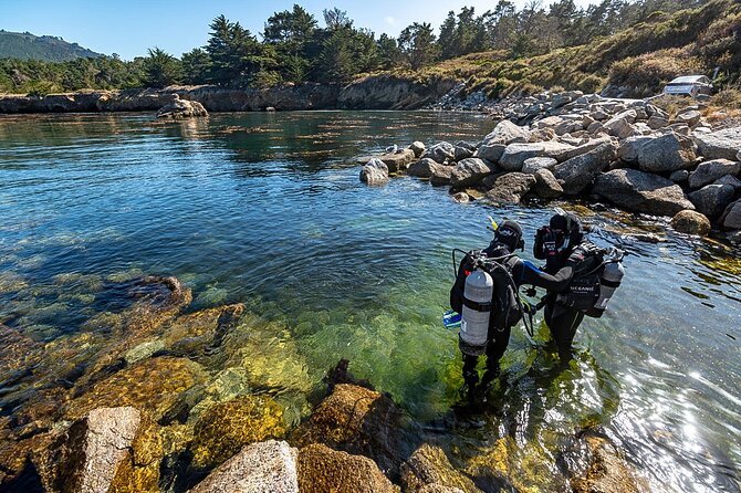 Point Lobos - A Private Charming Ocean Tour - Tour Highlights