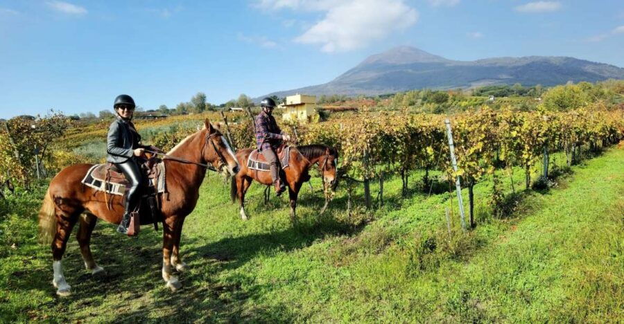 Pompeii: Ruins Tour and Mount Vesuvius Horseback Ride