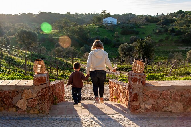 Porches Algarve Vineyard Tour and Wine Tasting Experience - Reviews and Ratings