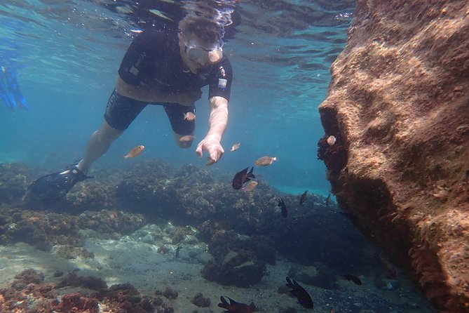 Porto Santo Snorkeling Tour - Common Questions