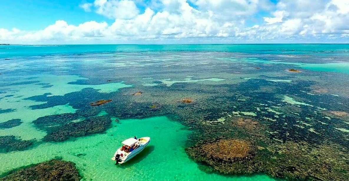 Praia De Paripueira Beach Day Tour - Experience Highlights