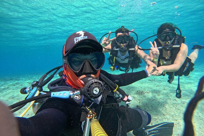 Private 2-Hour Diving Experience With Instructor - Customer Reviews and Ratings