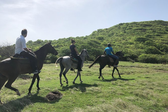 Private Advanced Horseback Beach Ride With Sandy Hoofs St. Lucia - Directions