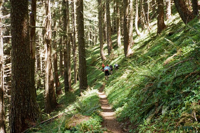 Private Adventure Mountain Biking in Seattles Eastside - What to Expect