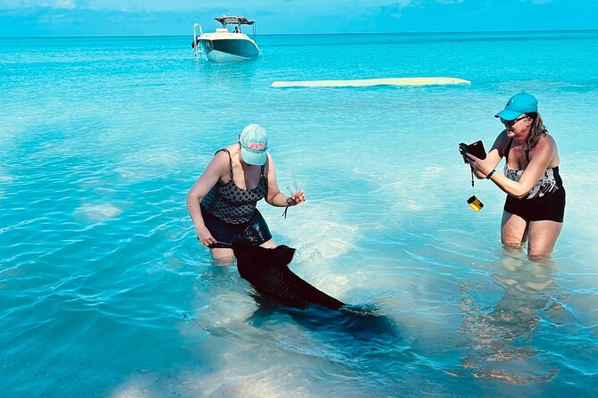 PRIVATE - All Inclusive Swimming Pigs, Snorkel & Lunch - Tour Overview