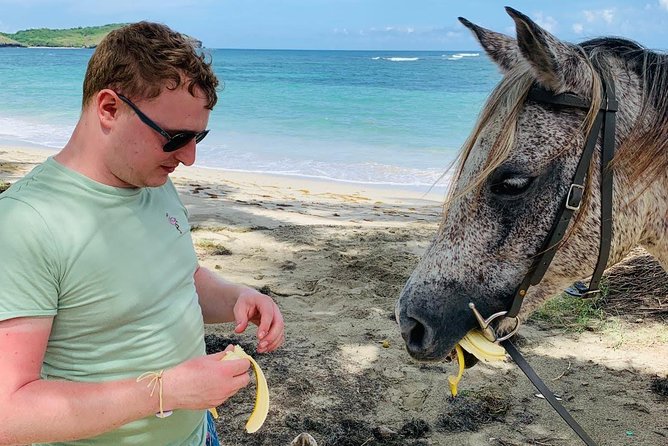 Private Beach Horseback Ride With Sandy Hoofs St. Lucia - The Sum Up