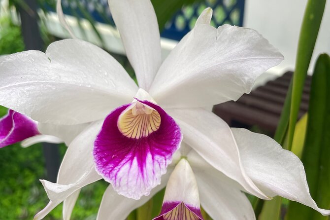 Private Botanical Garden Tour in Rio De Janeiro - Cancellation Policy Details