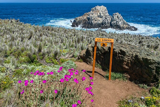 Private Garden Tour in Central Coast of Chile With Lunch Included - Tour Highlights and Itinerary