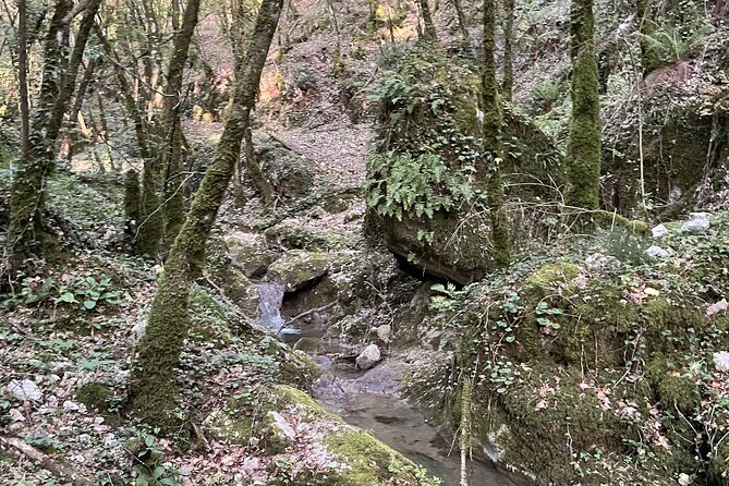 Private Guided Tour to the Waterfalls in the Woods at Borgo Incantato - Tour Highlights
