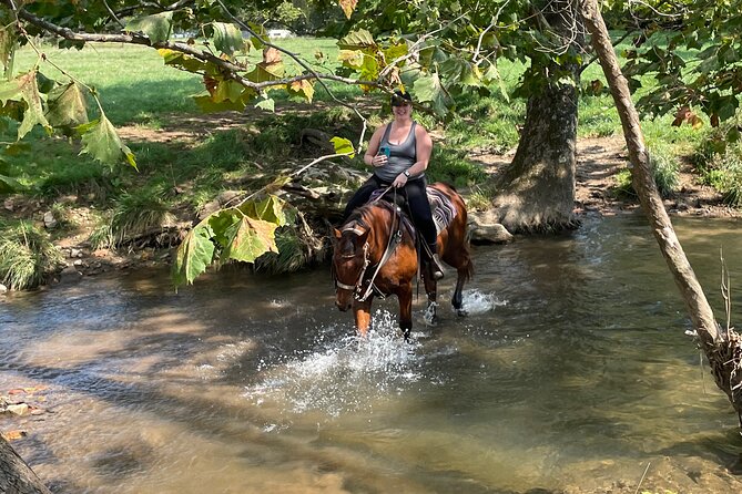 Private Horseback Experience in Appalachian Mountains - Experience Information